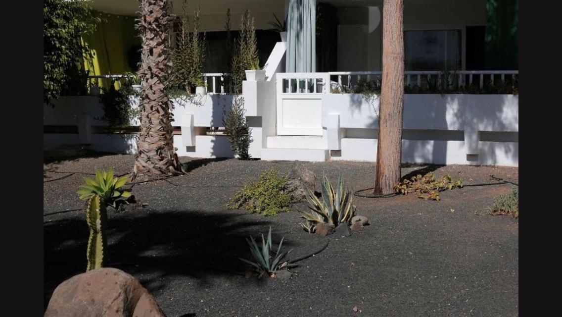 Daruma Apartments Costa Teguise Eksteriør billede